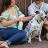 Wondercide Cedarwood Home, Dog & Cat Flea & Tick